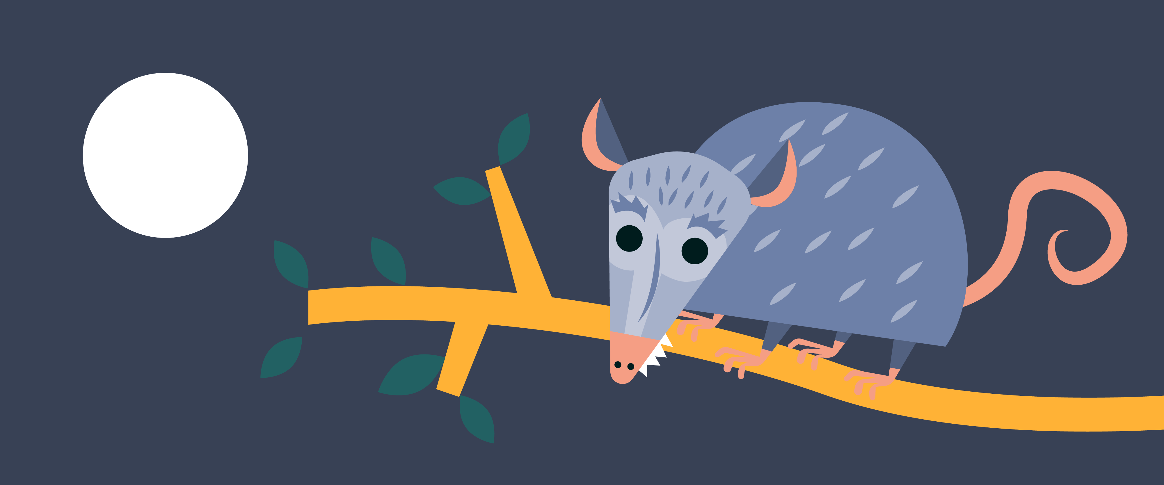 Ciudades más verdes: cómo la biodiversidad urbana mejora nuestra calidad de vida | Mapasin